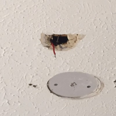 artex ceiling smooth over