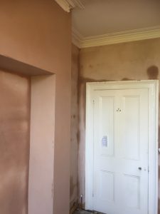 Ready for Decoration
