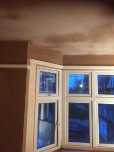 Freshly plastered ceiling ready for decoration